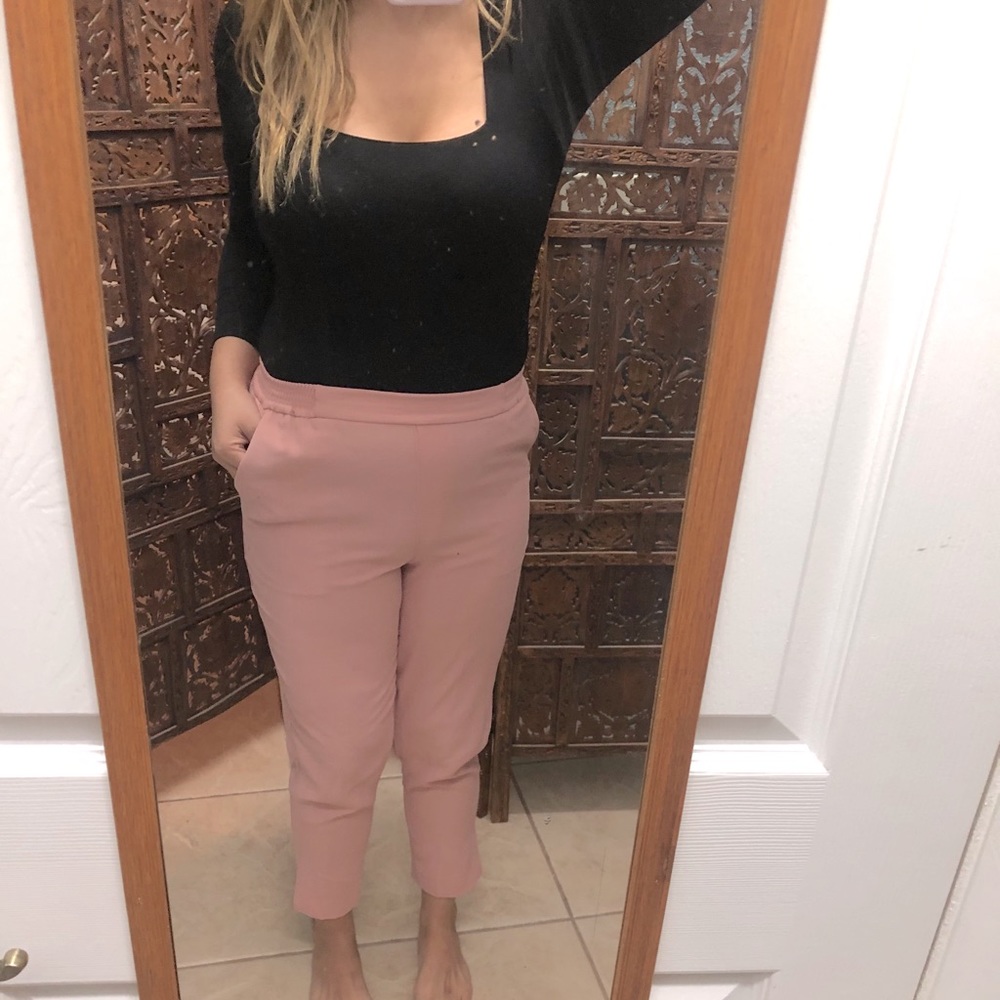 Anthropologie Light Pink Pull-on Dress Pants Small